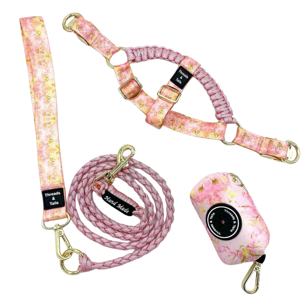 Adjustable Step in Harness, Lead and Poop Bag Set