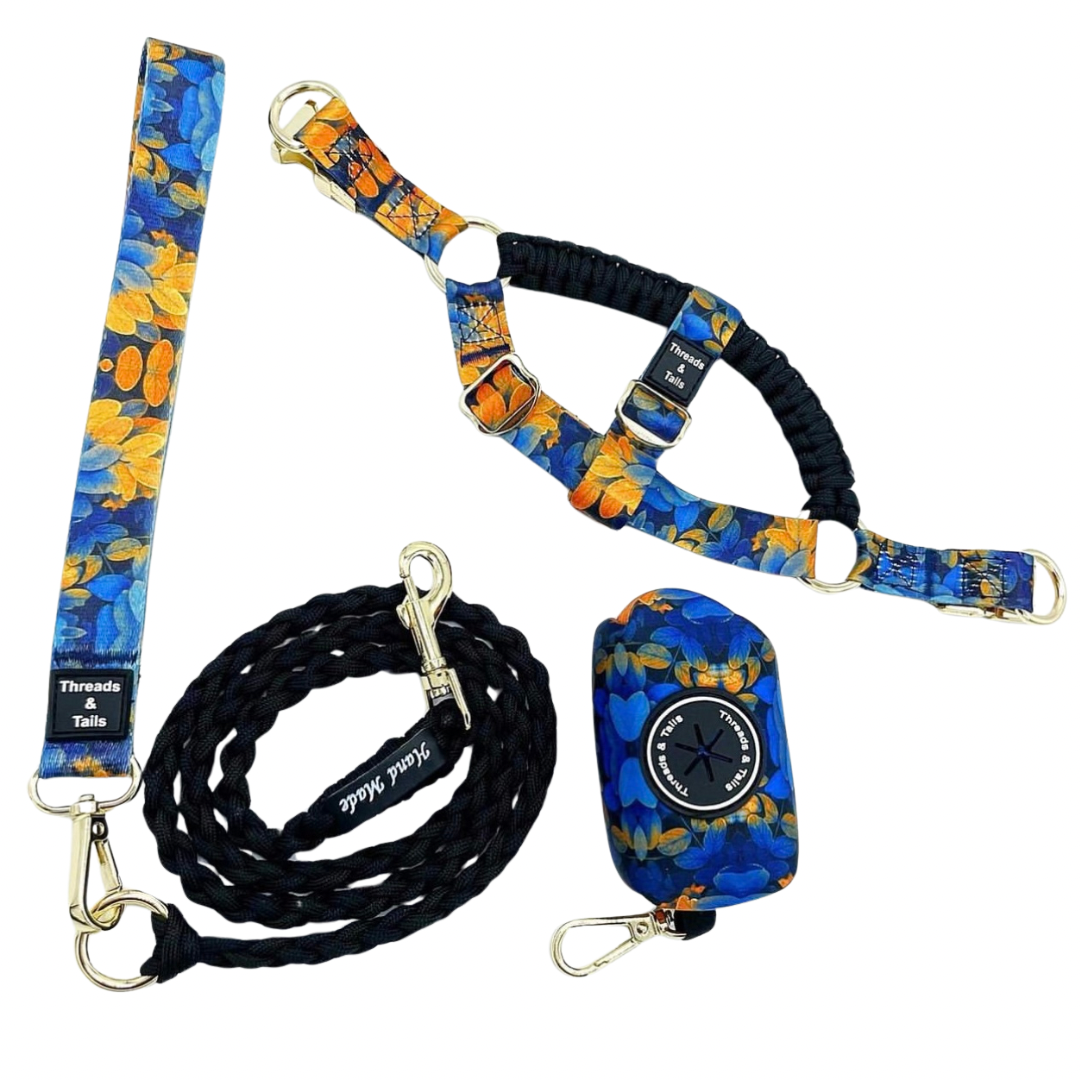 Adjustable Step in Harness, Lead and Poop Bag Set