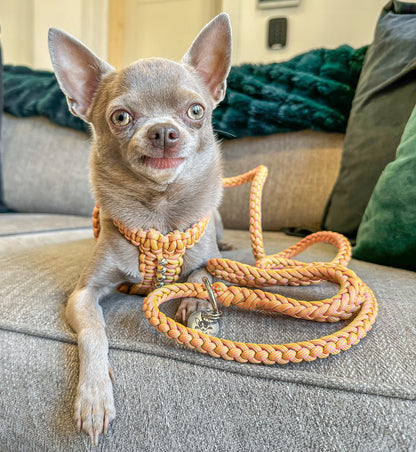 Handmade Cobra Dog Harness - 1 Colour